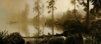 nebel