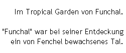 Im Tropical Garden von Funchal.

