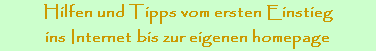 Hilfen und Tipps vom ersten Einstieg
ins Internet bis zur eigenen homepage